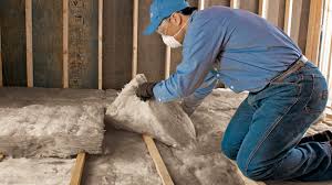 Types of Insulation We Offer in Leupp, AZ